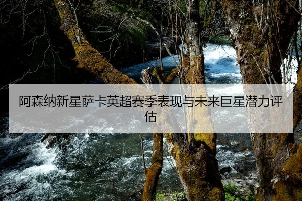 阿森纳新星萨卡英超赛季表现与未来巨星潜力评估